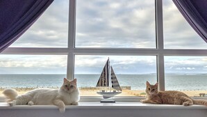 Two cats on a windowsill with a view of the sea and a sailboat. - Ocean View (Hayling Island)