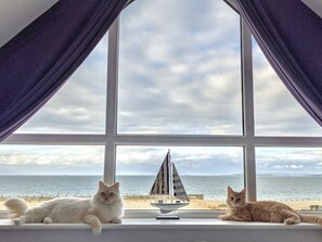 Interior - Ocean View (Hayling Island)