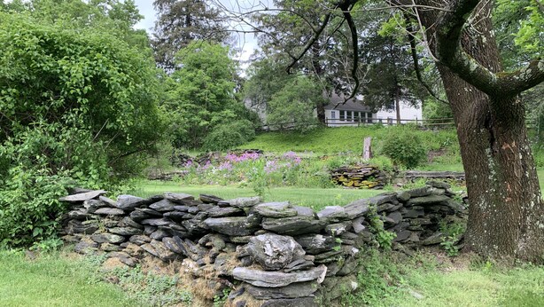 A stone wall in a lush garden with a large tree and a house in the background. - Mountain View Farmhouse, pool/hot tub, fire pit, 4 seasons porch, game room (Millerton)