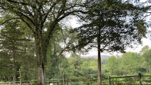 A bench in a grassy area with a view of a forest and hills in the background. - Mountain View Farmhouse, pool/hot tub, fire pit, 4 seasons porch, game room (Millerton)