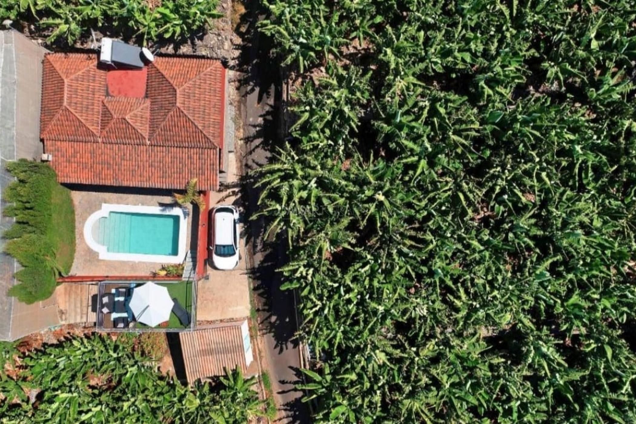 Eine Vogelperspektive auf ein Anwesen mit Pool, einem Auto und dichter Vegetation.