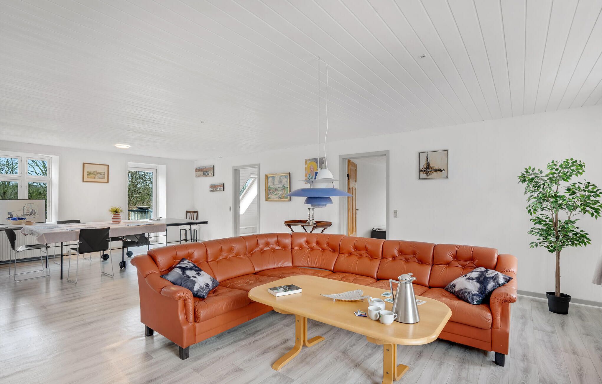 Télévision, baby-foot, table de tennis de table