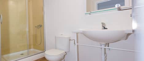 A bathroom with a glass shower enclosure, a toilet, and a sink with a mirror above it.