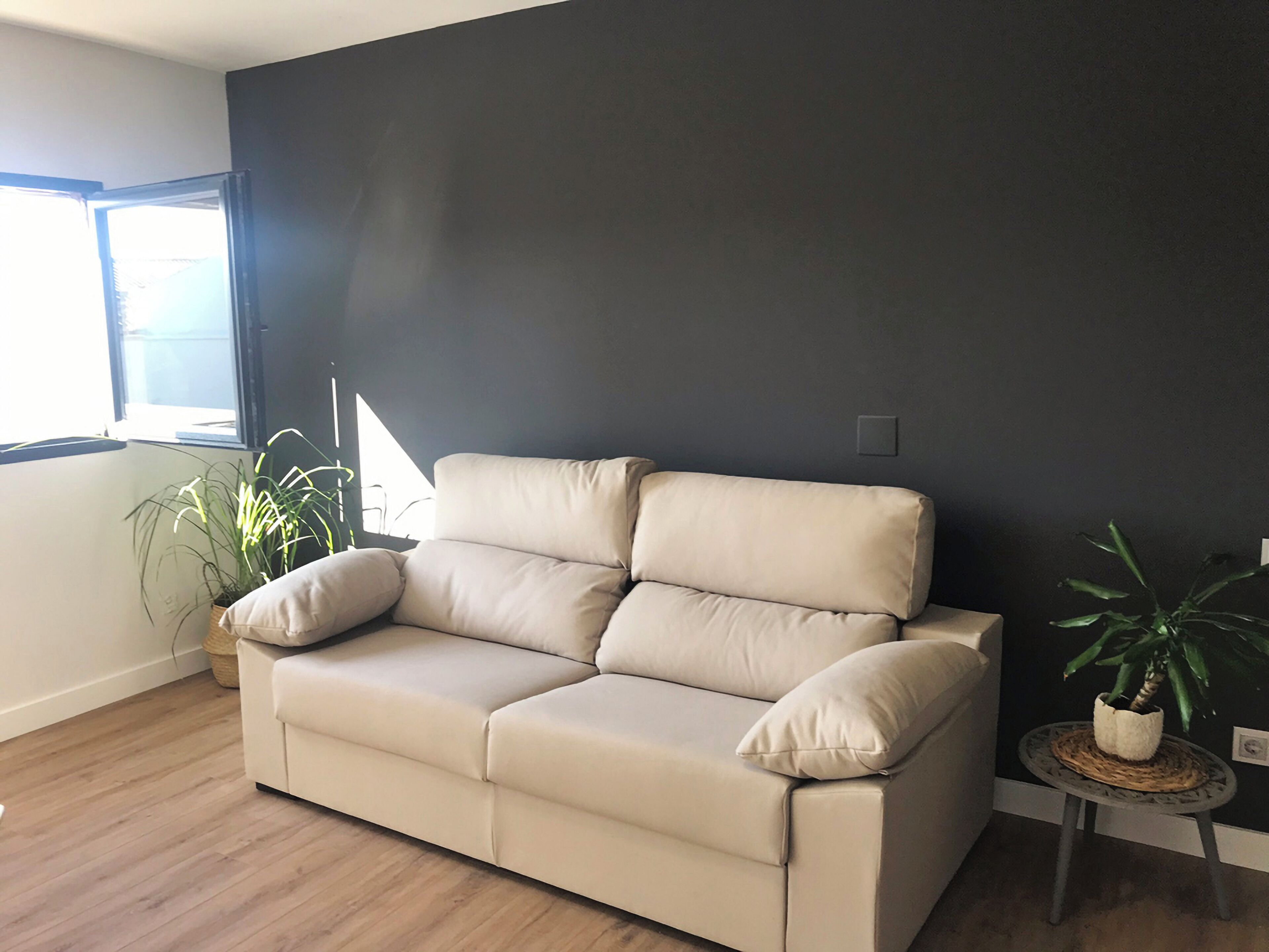 A beige sofa against a dark wall, a small round table with a plant, and a window with natural light.