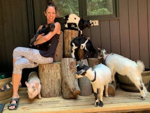 Unclassified image, 2 of 7, button