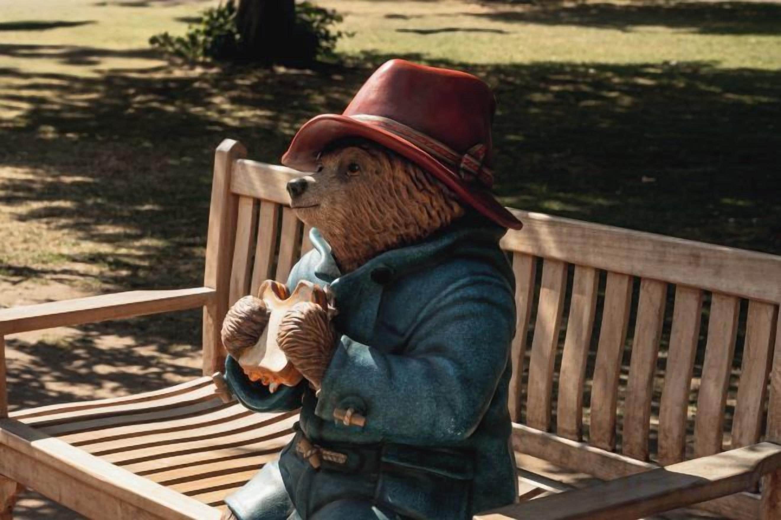 A wooden bench with a teddy bear dressed in a blue jacket and red hat sitting on it.