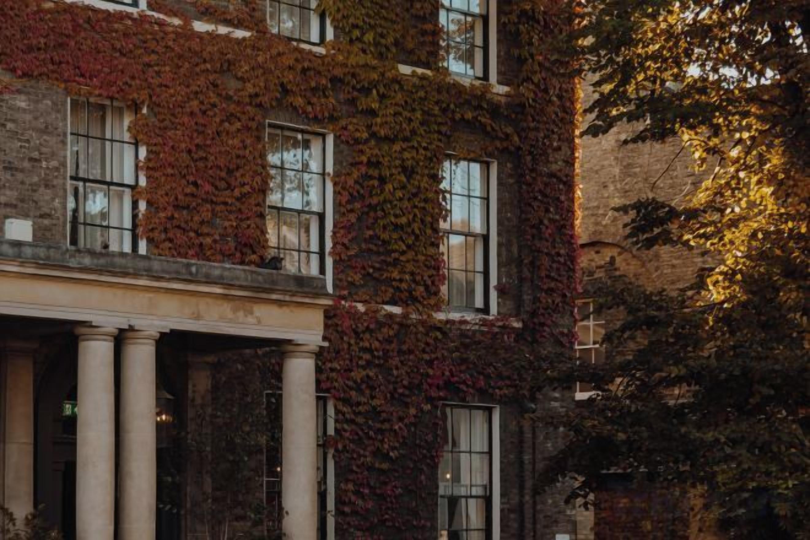 A building with columns and windows partially covered by ivy.
