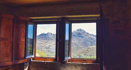 "Forest House" in Branda da Bouça dos Homens