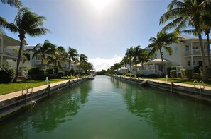 A canal flanked by palm trees and white buildings with balconies.