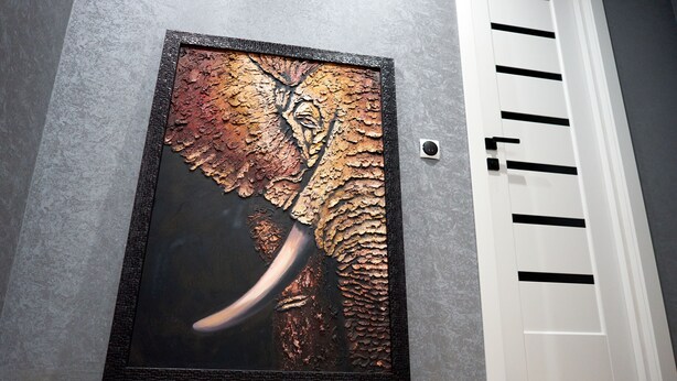 Une œuvre d’art encadrée représentant le visage d’un éléphant, accrochée à une porte.