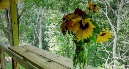 "Travel Back to Simple" 1910 Renovated Bunkhouse