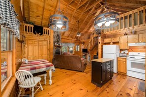 TV, fireplace, DVD player