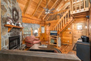 TV, fireplace, DVD player