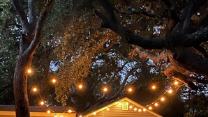 Une maison avec un garage, une pelouse et des guirlandes lumineuses.