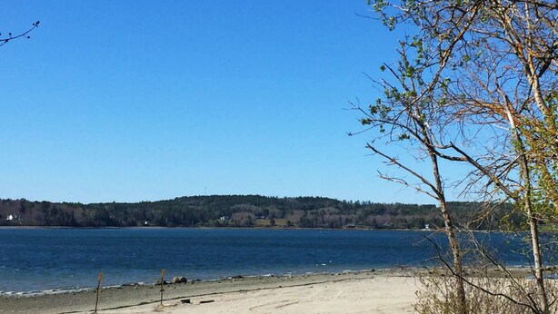 A beach with a clear view of the water and a forested hill in the background. - Bar Harbor Serenity close to Hadley Point Beach (Bar Harbor)