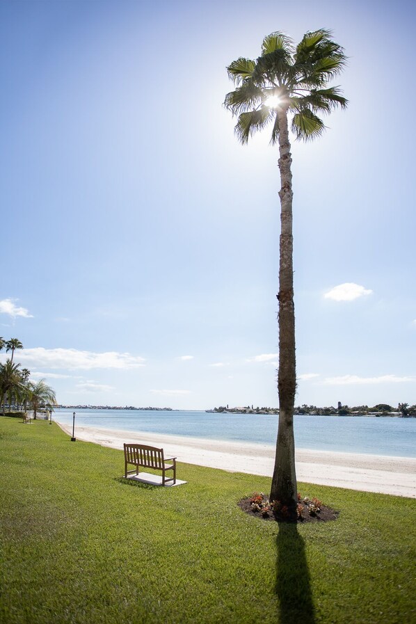 Sur la plage, chaise longue, serviettes de plage