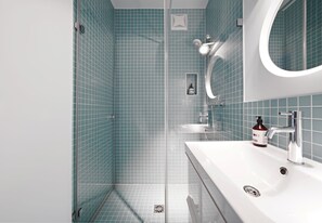 Large Studio, Kitchen, Terrace, Sofa Bed | Baño | Ducha, artículos de higiene personal ecológicos y secador de pelo