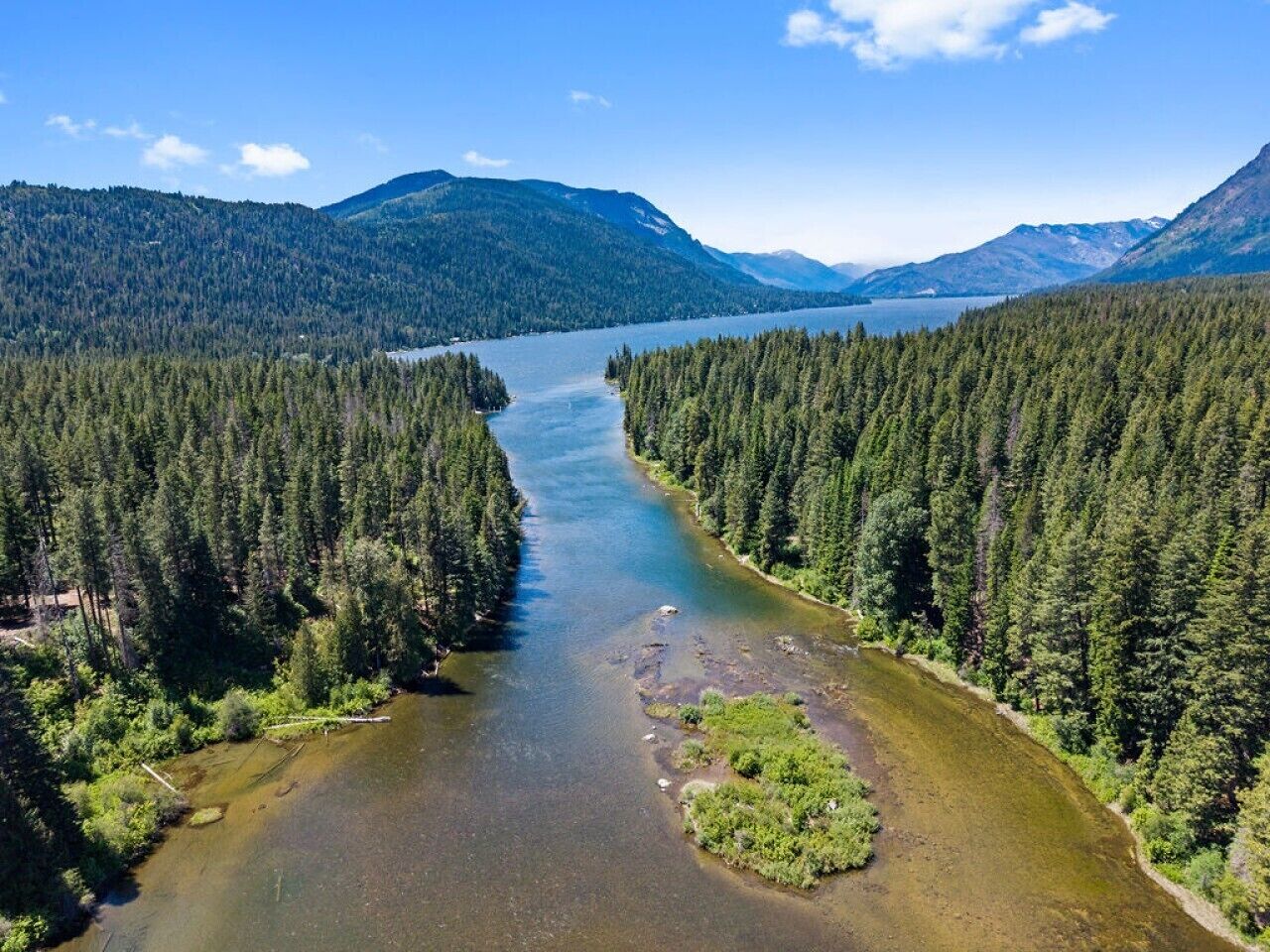 A river flanked by dense forests and mountains in the background.