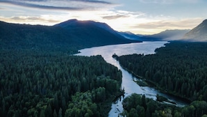 Un río serpentea a través de un bosque denso con montañas al fondo.