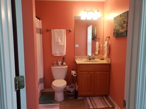 Une salle de bain avec des toilettes, un lavabo et un miroir.