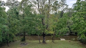A grassy area with trees and a wooden dock extending into a body of water.