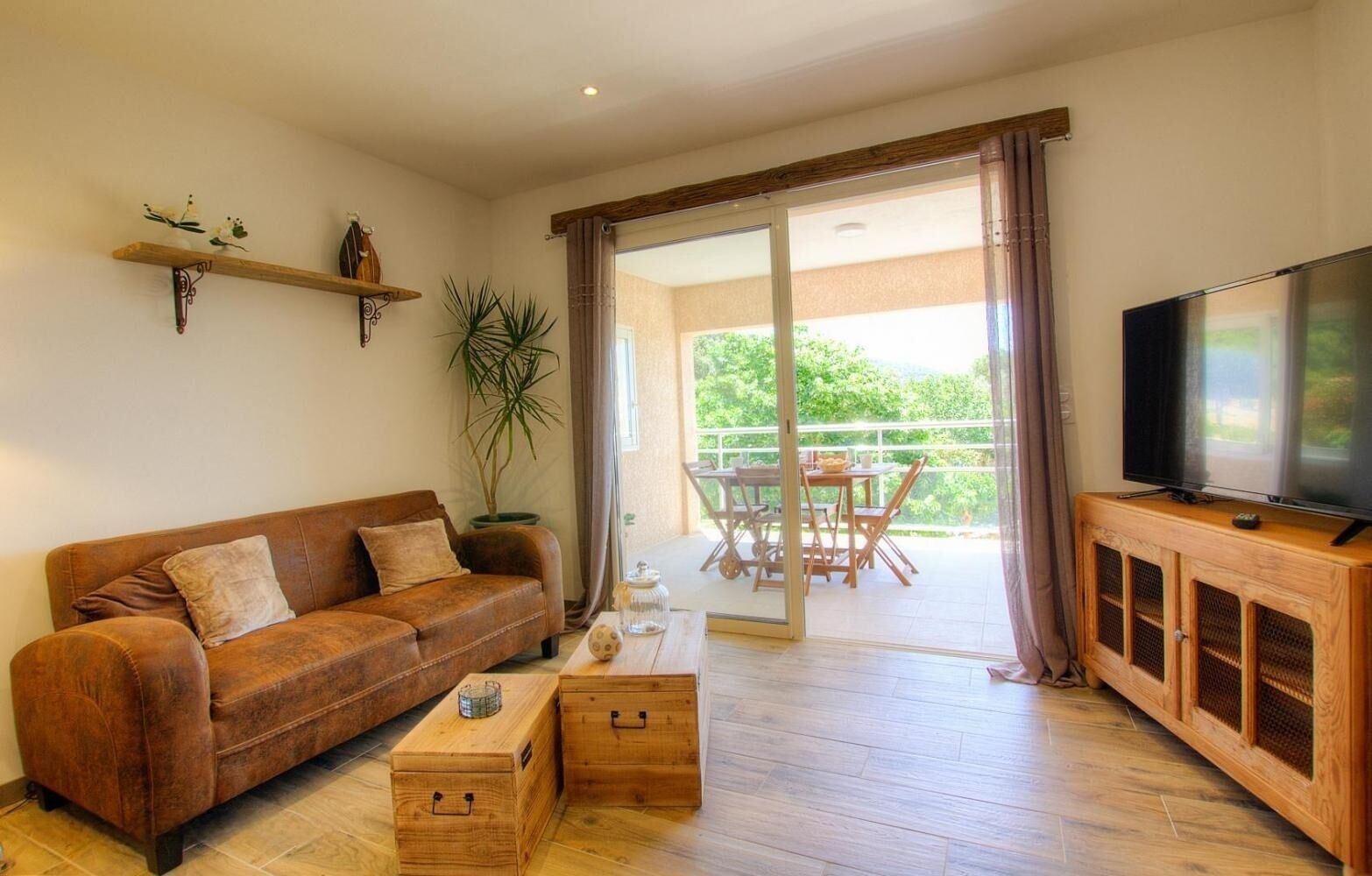 電視、DVD 播放機、書籍