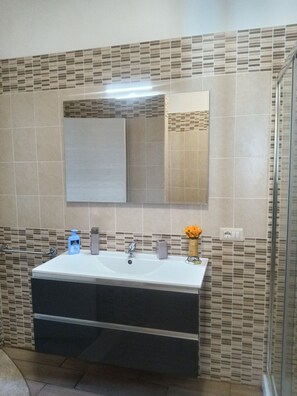 Shower, hair dryer, bidet, towels