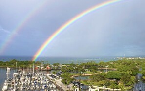 Marina - Waikiki studio USD68.00 per day (Honolulu)