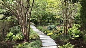 A stone pathway through a lush garden with various plants and trees.