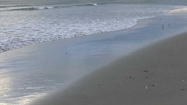 A beach with a wide sandy shore and gentle waves. - Atlantic Beach Condo within walking distance to the beach (Atlantic Beach)