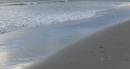 Atlantic Beach Condo within walking distance to the beach