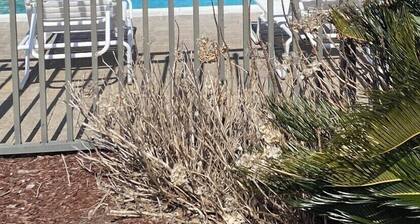 Atlantic Beach Condo within walking distance to the beach