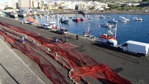 A coastal town with a marina filled with boats, a road with red fishing nets, and buildings in the background. - Casa Denise  (Playa San Juan)