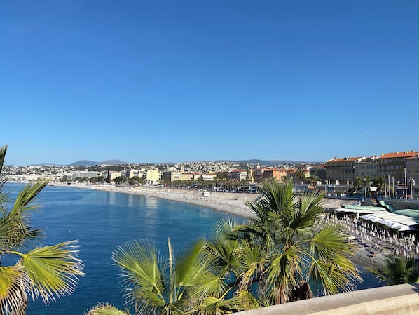 A coastal cityscape with a beach, palm trees, and buildings in the background.