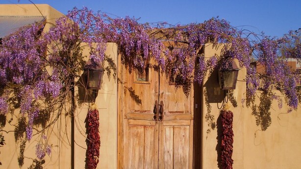 Una puerta doble de madera con un portón de hierro forjado, rodeada de enredaderas moradas con flores.