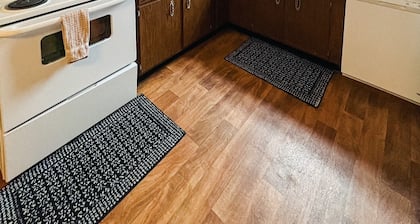 Cozy 1-Bedroom Close to NDSU and Downtown (APT 2)