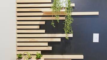 A wall with multiple horizontal wooden shelves of varying lengths.