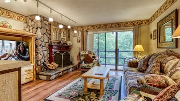 TV connectée, cheminée, lecteur de DVD, vidéothèque