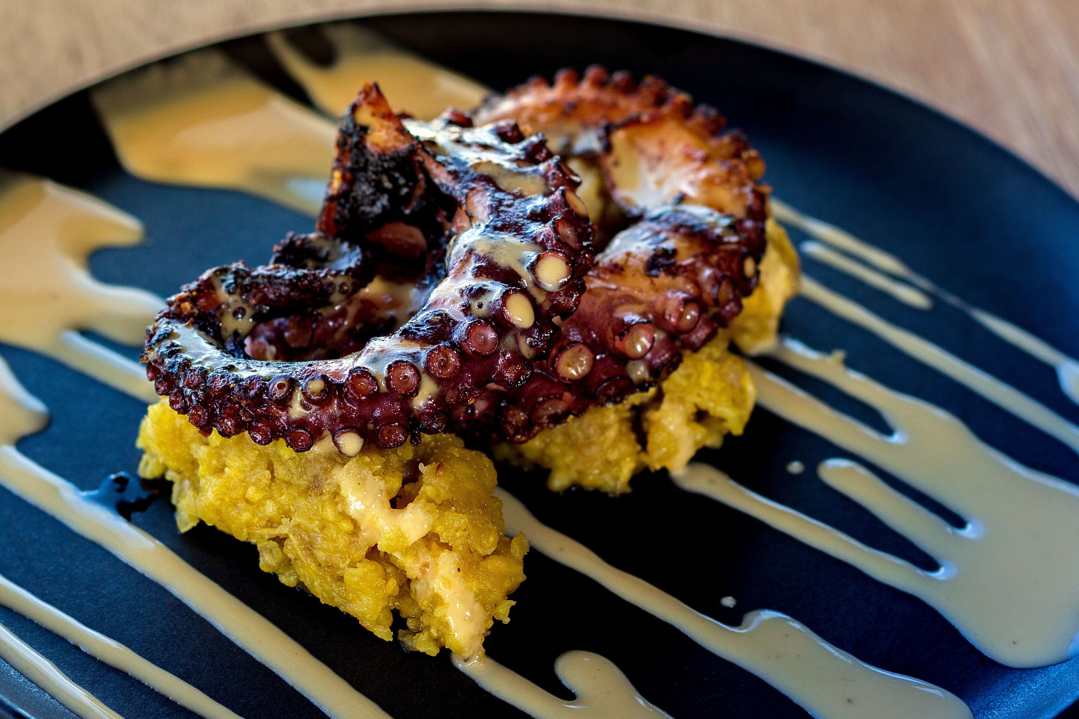 Une assiette de risotto jaune aux poulpes, nappée d’une sauce blanche.