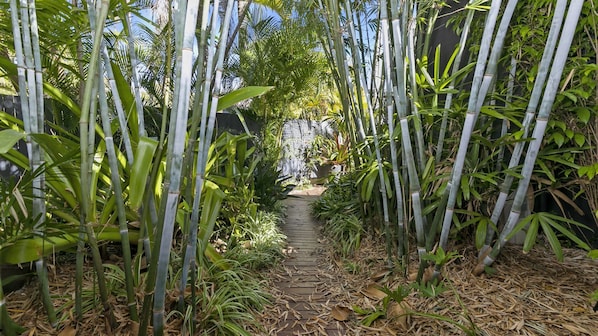 Une bambouseraie traversée par un sentier en bois.