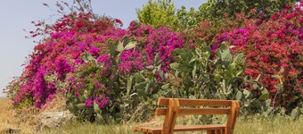 Tal Shahar Zimmers 4