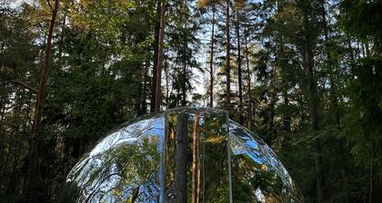 Privat gård med 42 bäddplatser vid badsjö mitt i naturen utanför Göteborg