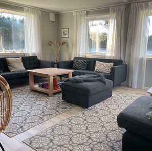 Smart TV, chimenea, libros, estéreo