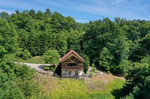 Situated on a hillside, this cabin offers a peaceful retreat surrounded by dense forest.