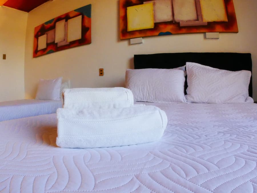 Basic Twin Room