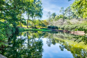 Property grounds - Loco Motive- Renovated House in Aragon c.1940 Near Winthrop & Glencairn Garden (Rock Hill)
