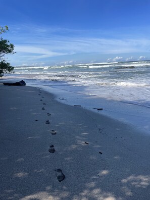 Plage à proximité