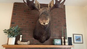 A mounted deer head on a brick fireplace mantel with a potted plant, a wooden log, and a framed picture.