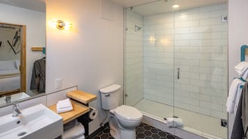 Un baño moderno con ducha envuelta en vidrio, un lavamanos blanco y un inodoro.