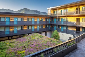 Courtyard - The Wren (Missoula)